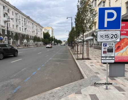 В мэрии Уфы объяснили, как оплатить парковку без мобильного интернета