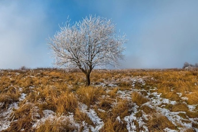 Завтрашний день расскажет о погоде зимой в Калмыкии Завтрашний день расскажет о погоде зимой в Калмыкии