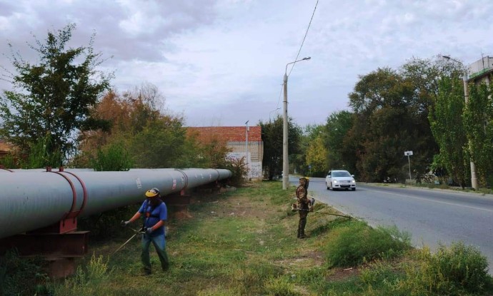 В Астрахани за месяц скосили более 55 га сорной растительности В Астрахани за месяц скосили более 55 га сорной растительности