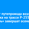 Ремонт путепровода возле Ангарска на трассе Р-255 «Сибирь» завершат осенью
