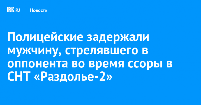 Полицейские задержали мужчину, стрелявшего в оппонента во время ссоры в СНТ «Раздолье-2»