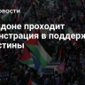 В Лондоне проходит демонстрация в поддержку Палестины