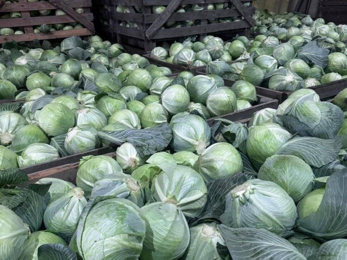 Уборочная кампания в Ярославской области завершилась с хорошими результатами