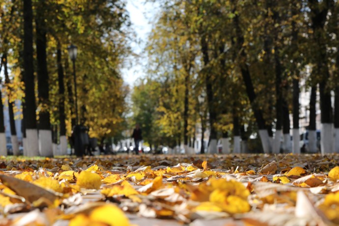 В Ярославской области в выходные ожидается весеннее тепло В Ярославской области в выходные ожидается весеннее тепло
