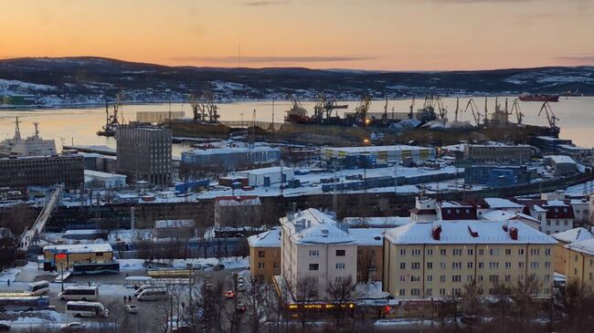 Сильный ветер снес новогодние елки в Мурманской области