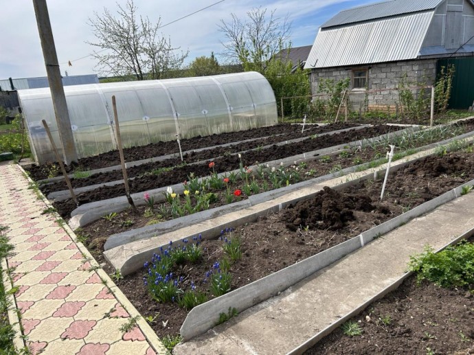 Польза яблочных отходов: от настоек до натуральных пестицидов Польза яблочных отходов: от настоек до натуральных пестицидов