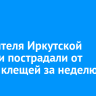 244 жителя Иркутской области пострадали от укусов клещей за неделю