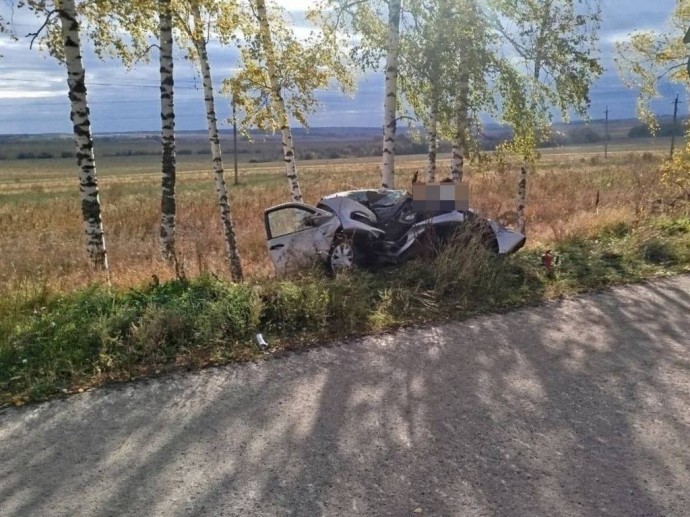 В Шебекинском округе в ДТП погиб пассажир легковушки