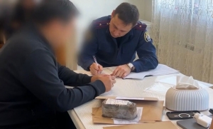 В Челябинске возбуждено уголовное дело по факту злоупотребления должностными полномочиями директором парка