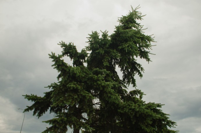 Пензенцев предупреждают о дождях и сильном ветре 14 октября Пензенцев предупреждают о дождях и сильном ветре 14 октября