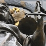 ВС признал законным проведение посмертной психиатрической экспертизы
