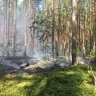 В Ярославской области обеспечена готовность сил и средств к началу пожароопасного сезона