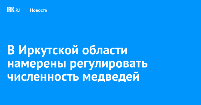В Иркутской области намерены регулировать численность медведей