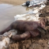 «Нашли ниже по течению»: в Приморье спасатели вытащили тело утонувшего рыбака