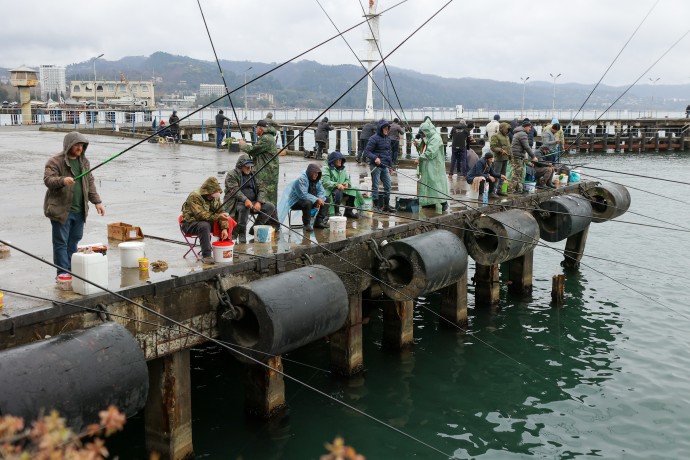 В СФ хотят наделить Росрыболовство полномочиями по защите краснокнижных рыб В СФ хотят наделить Росрыболовство полномочиями по защите краснокнижных рыб