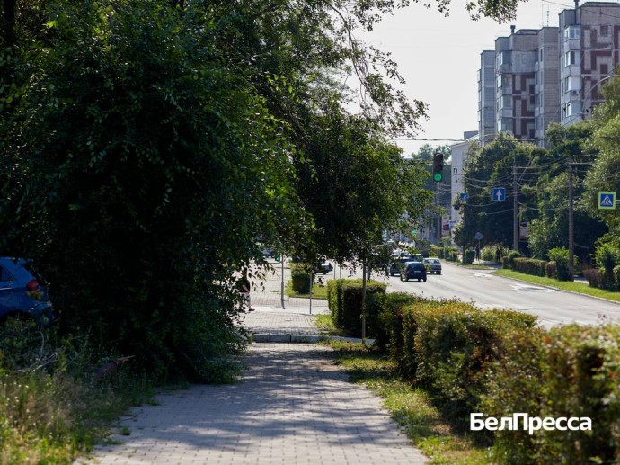 Гладков поручил ускорить положенные выплаты пострадавшим белгородцам