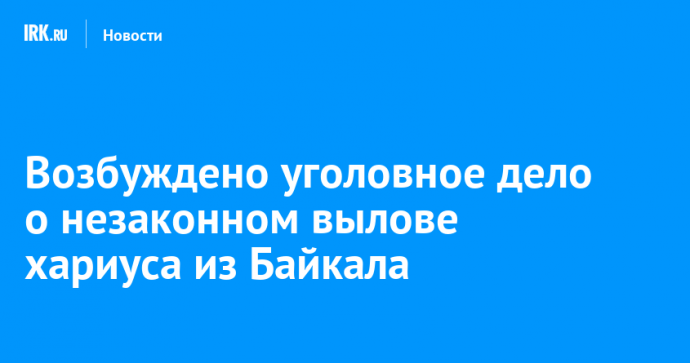 Возбуждено уголовное дело о незаконном вылове хариуса из Байкала