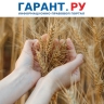 Михаил Мишустин анонсировал дальнейшее увеличение экспорта сельхозпродукции