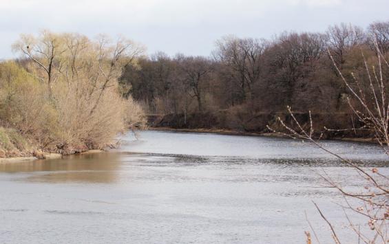 Суд в Курске разрешил использование участка у Сейма при соблюдении экотребований Суд в Курске разрешил использование участка у Сейма при соблюдении экотребований