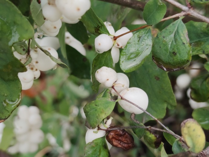 В Башкирии в конце осени и начале зимы ожидается аномальная погода