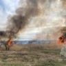 За неделю пожарные более 50 раз тушили камыши, траву и мусор