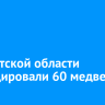 В Иркутской области ликвидировали 60 медведей