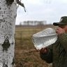 Россияне раскрыли главные причины своей любви к березовому соку