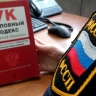 Амурчанку отправили в колонию ЕАО за неуплату алиментов