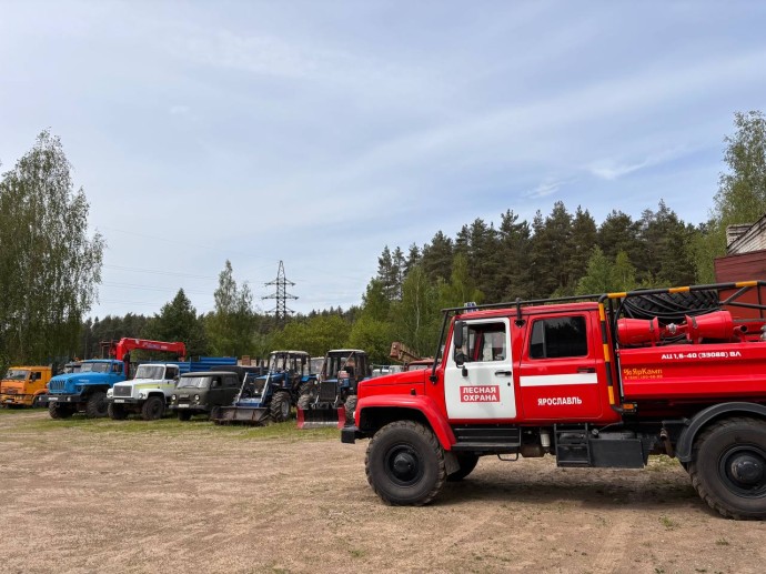 Пожароопасный сезон в Ярославской области прошел без возгораний на территории леса Пожароопасный сезон в Ярославской области прошел без возгораний на территории леса
