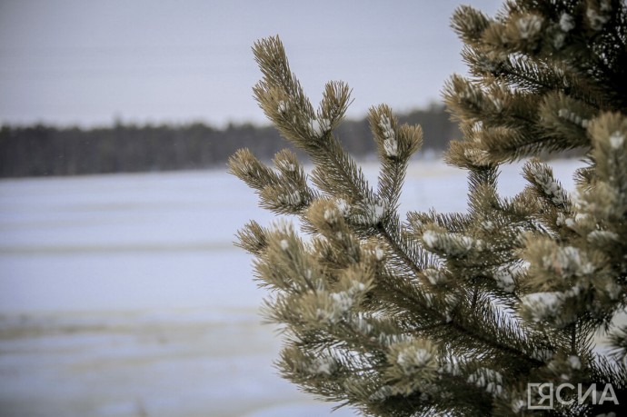 Традиции и приметы 11 ноября: как правильно провести этот день Традиции и приметы 11 ноября: как правильно провести этот день