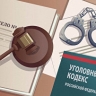 Экс-полицейский получил 13 мес колонии за хулиганство и сломанный телефон