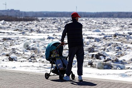 Россиянам назвали меры поддержки для отцов Россиянам назвали меры поддержки для отцов