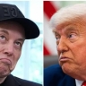 В деле Эпштейна всплыли имена Маска и друзей Трампа