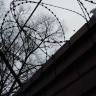 Петербуржец, которого мошенники заставили забрать у пенсионера 2 млн рублей, получил четыре года колонии
