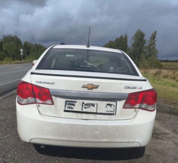 Пьяное вождение обернулось для жительницы Мордовии 200-тысячным штрафом и лишением автомобиля