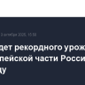 ИКАР ждет рекордного урожая сои на европейской части России в 2025 году