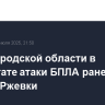 В Белгородской области в результате атаки БПЛА ранен житель Ржевки