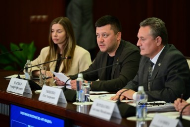 Ратмир Мавлиев рассказал о развитии ремесленных проектов в Уфе