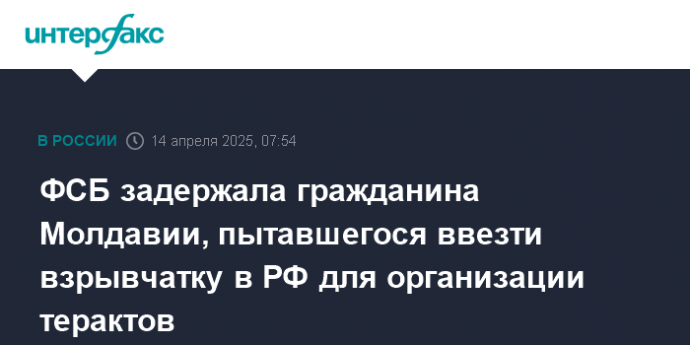 ФСБ задержала гражданина Молдавии, пытавшегося ввезти взрывчатку в РФ для организации терактов
