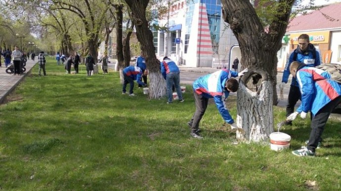 В парке Знаний высадили деревья