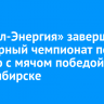 «Байкал-Энергия» завершила регулярный чемпионат по хоккею с мячом победой в Новосибирске