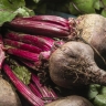 Посейте сейчас, пока земля не остыла: секрет посадки свеклы в первые заморозки — хруст обеспечен