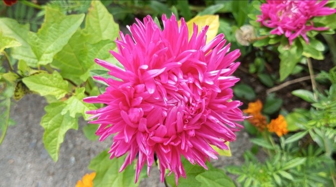 Жителей Башкирии ждёт жаркое воскресенье