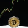 Стоимость биткоина обновила исторический максимум