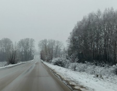 В Башкирии ожидаются осадки: дождь и мокрый снег В Башкирии ожидаются осадки: дождь и мокрый снег