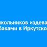 Двое школьников издевались над собаками в Иркутском округе
