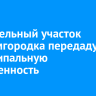 41 земельный участок Академгородка передадут в муниципальную собственность