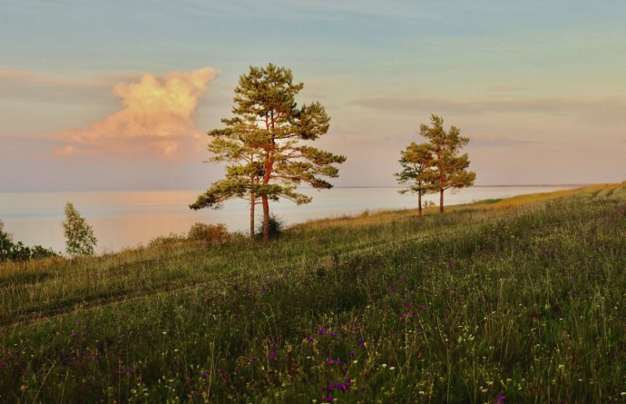 Дождь? Интересный прогноз погоды для новгородцев на 21 августа