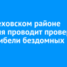 В Шелеховском районе полиция проводит проверку из-за гибели бездомных собак