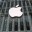 Протокол о пропаганде нетрадиционных ценностей в отношении Apple поступил в суд